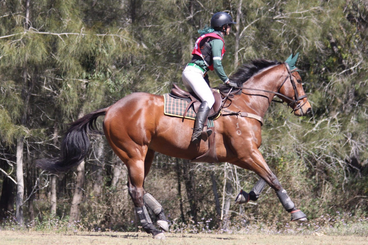 When to feed your horse protein for different benefits. Build Topline