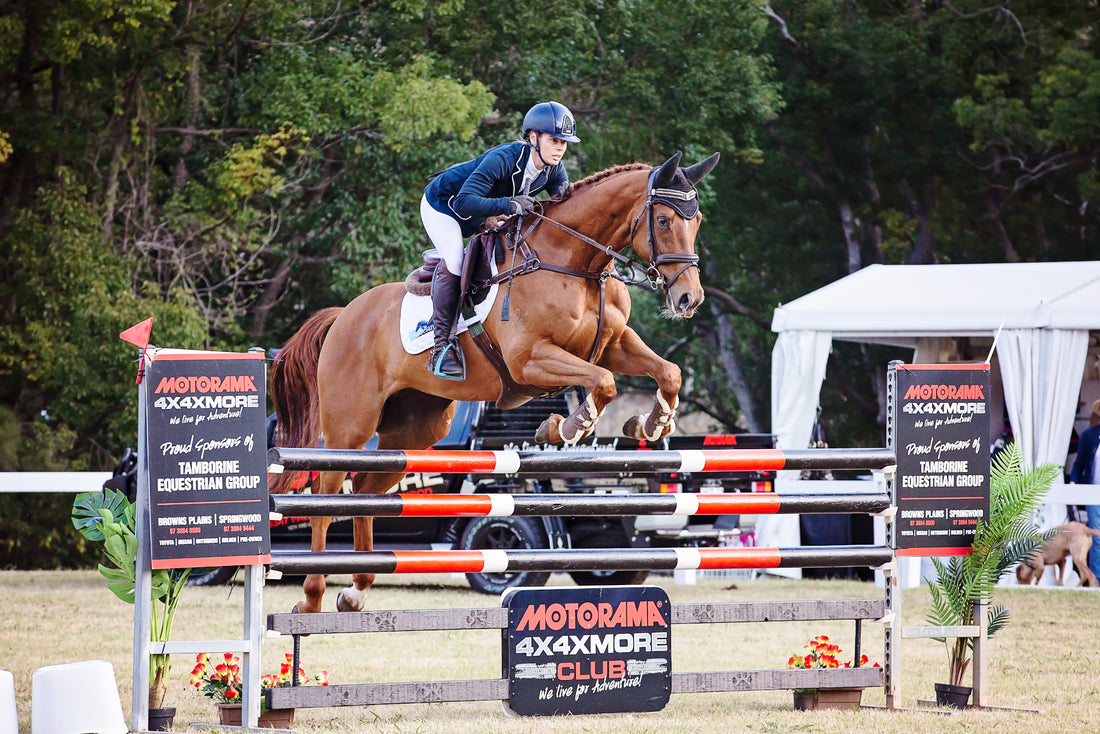 Research Studies & Articles on Horses and Protein