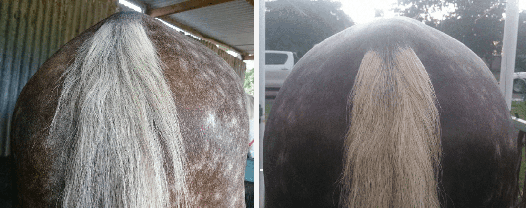 A massive improvement - in 3 weeks!