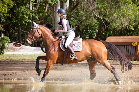 How to Build a Horses Topline? Protein is Key.