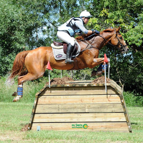 Georgia Barnett - Eventing