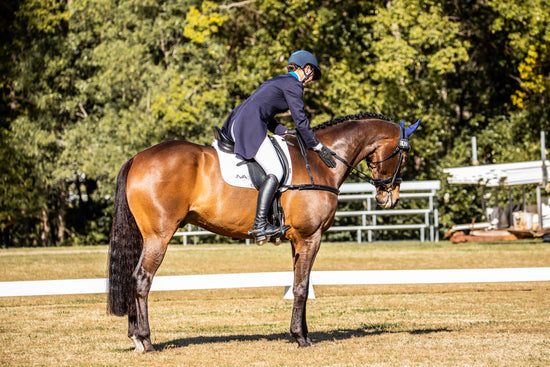 Muscle Max Bars in R+, Liberty & Horsemanship