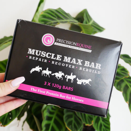 MUSCLE MAX BARS Trial Pack
