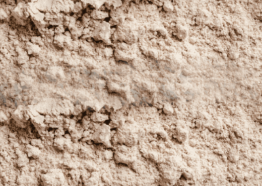 Rice Protein Concentrate