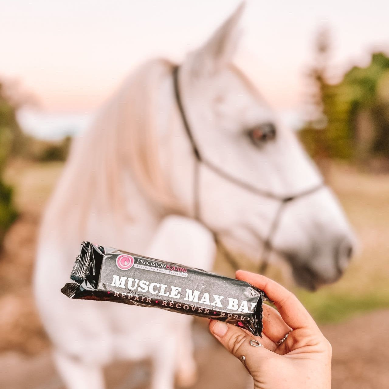 build topline and horse muscle with muscle max bar - 12 pack