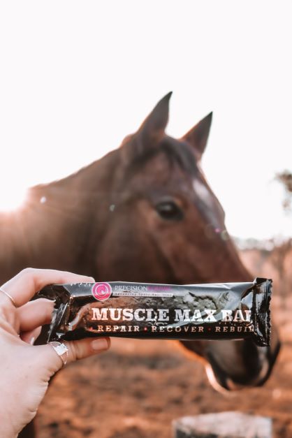muscle max bar - 24 pack